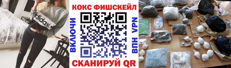 Cocaine Fish Scale  купить закладку  Руза 