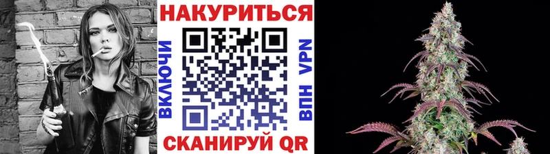 Бошки Шишки конопля  где можно купить   Руза 